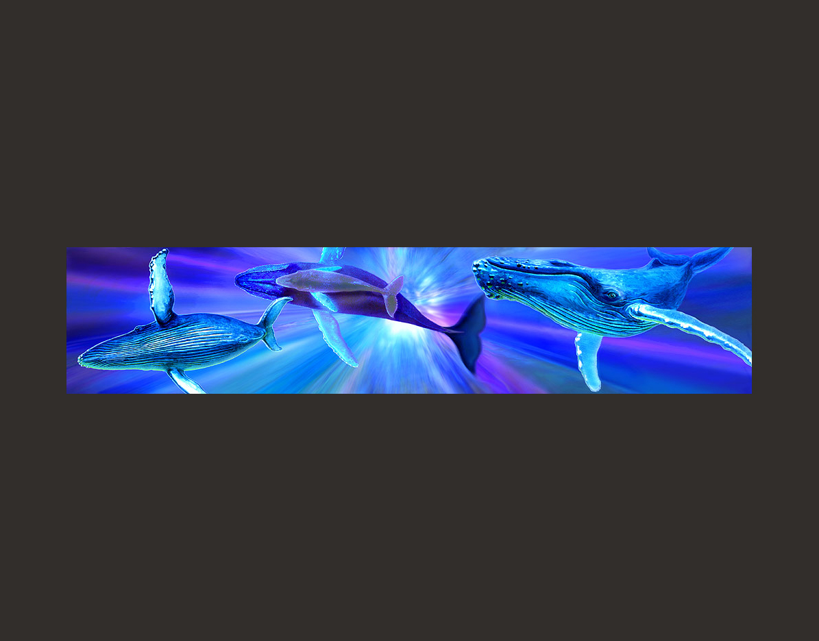 HUMPBACKSL