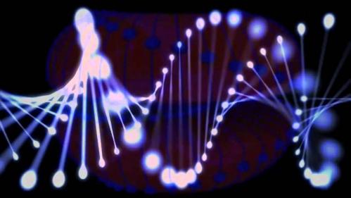 3danimationtorus maxresdefault 5