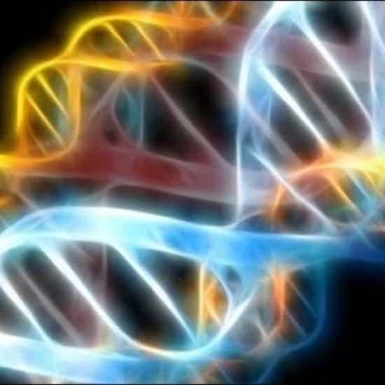 adn-helices-2.jpg
