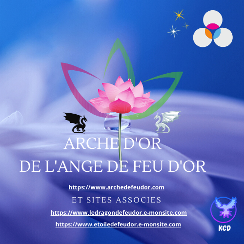 Ao logocanalisations500x500 ©
