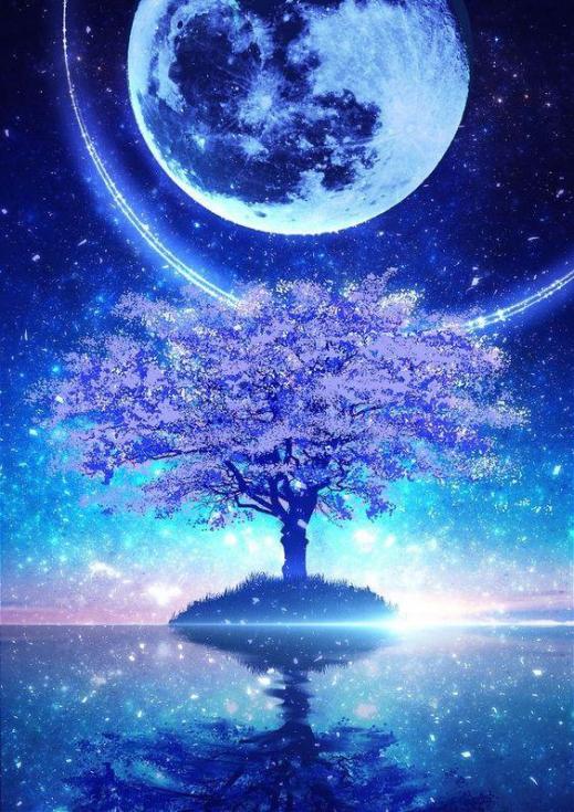 Pinterest carolynontwitter