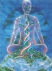 Chakras1.jpg